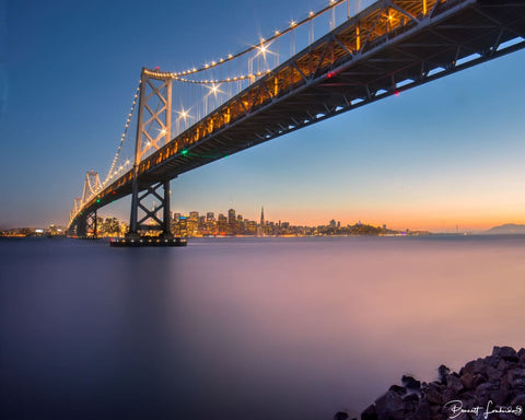 Bay Area Bliss - Landscapes