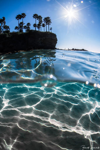 Coconut Trees - Underwater