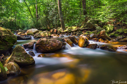 Flow - Landscapes